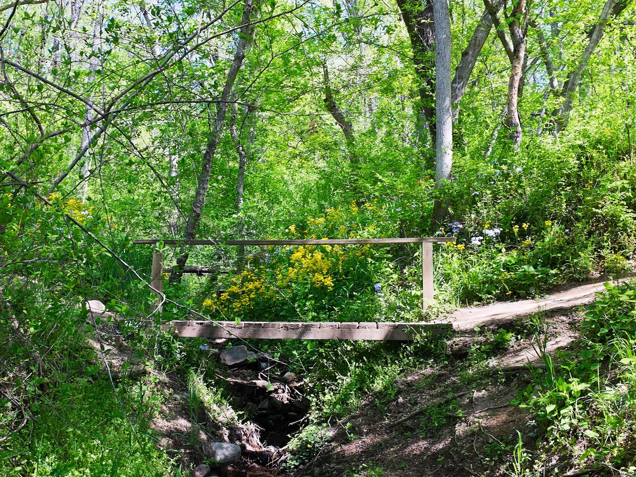 A short wooden footbridge with a single handrail crossing a small rocky stream in bright green spring woods, yellow wildflowers growing beside it