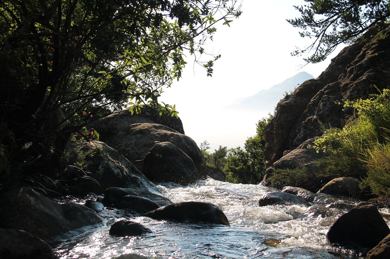 A fast, foaming stream rushing between dark boulders under overhanging trees, with hazy hills in the distance