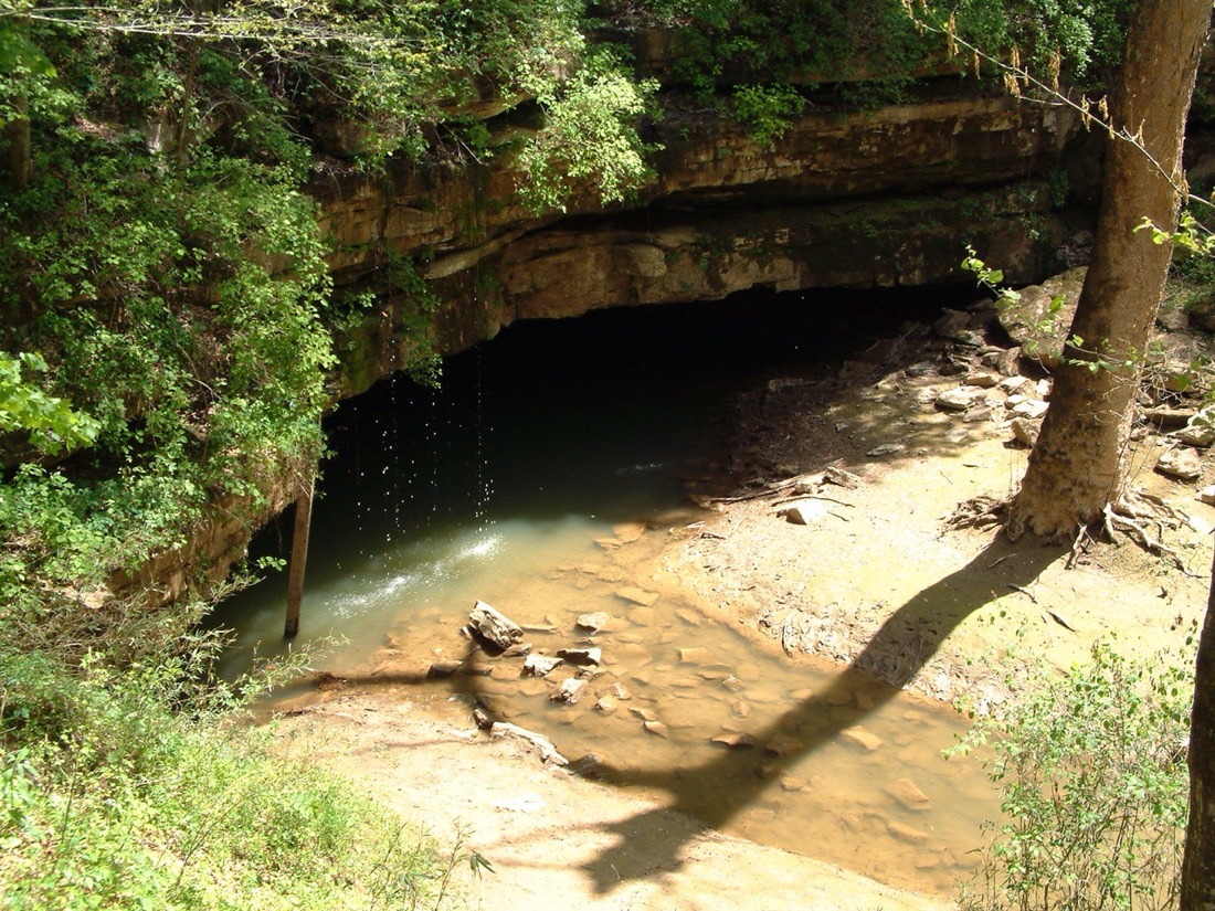A color photograph of a milky green river sliding out of a wide, dark cave mouth beneath layered limestone ledges, with drips falling from the overhang and sunlit trees and a rocky bank in front