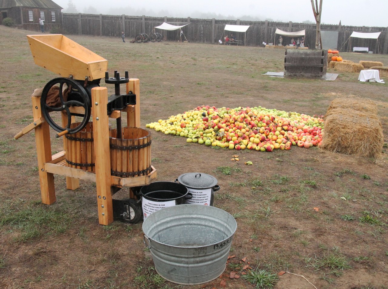 A wooden cider press with a crank grinder and a slatted barrel stands on grass beside a pile of red and yellow apples, with buckets and a tub ready