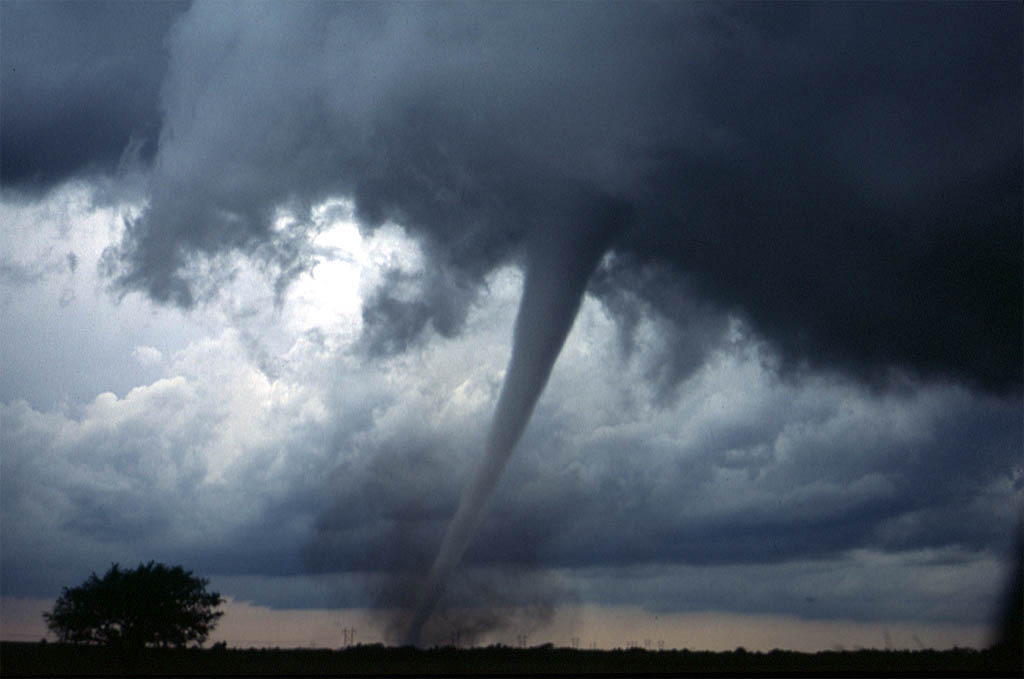 A pale tornado funnel stretching from a dark storm cloud down to the ground, with a cloud of dust and debris at its base and a lone dark tree at the left