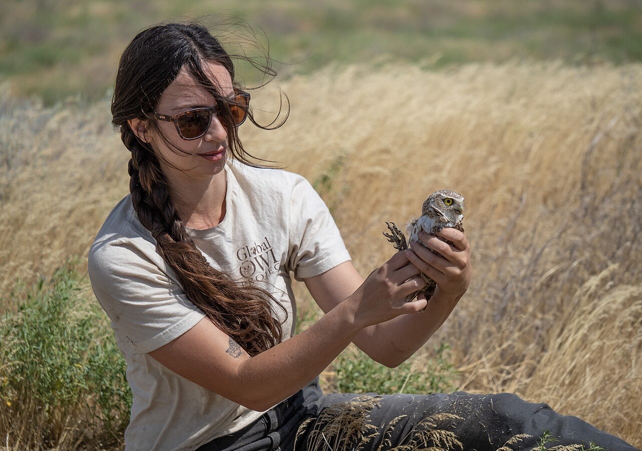 A researcher with a long braid kneels in tall dry grass, holding up a small brown-and-white owl with bright yellow eyes in both hands