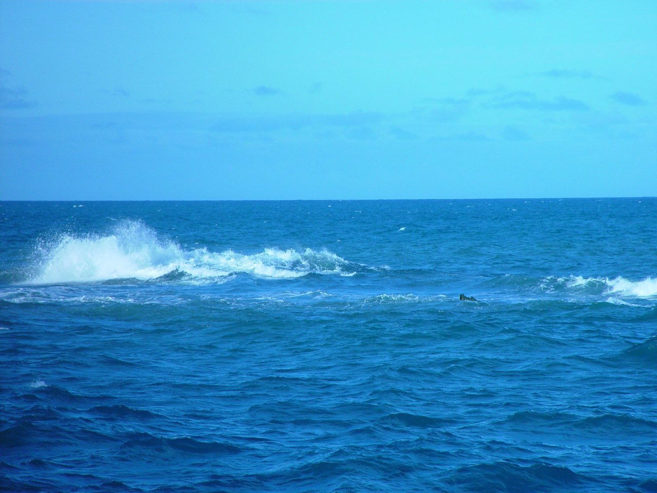 Open blue ocean photographed from just above the surface, a low breaking wave in the middle distance and an empty horizon under a pale sky