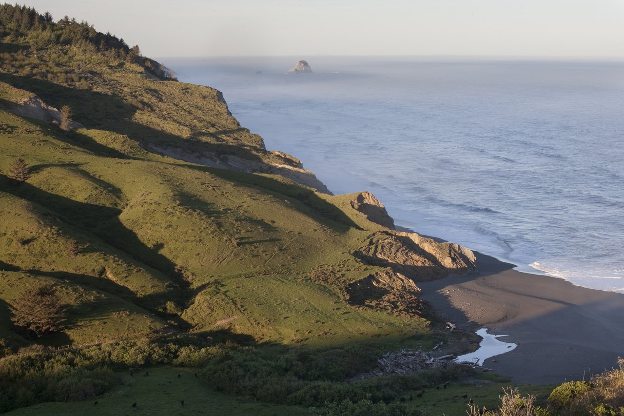 A green grassy headland dropping in steep bluffs to a pale beach and a wide calm ocean, with a rock stack standing offshore in the haze