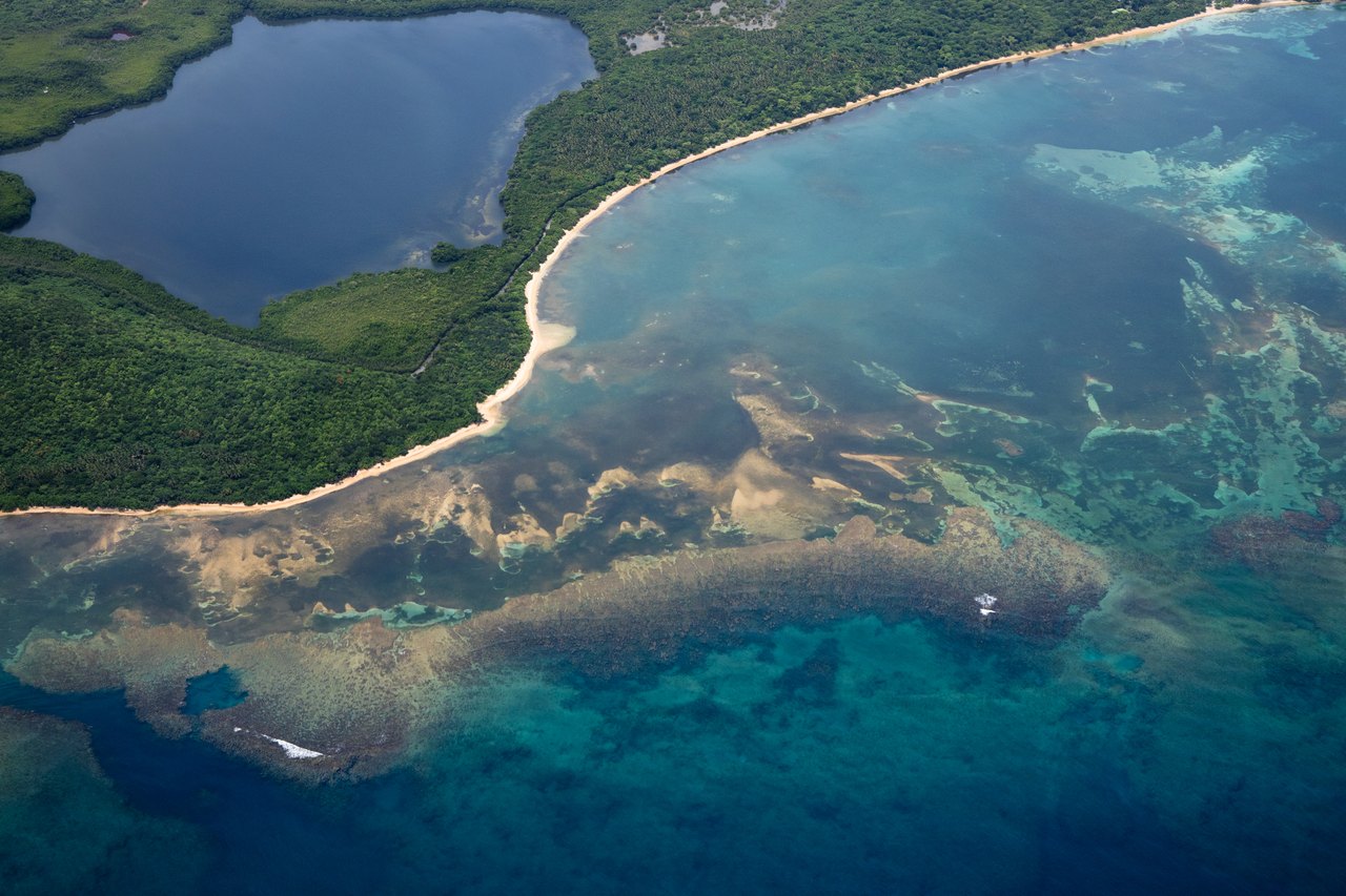 An aerial view of an island shore, with dark green woodland inland, a pale curved beach, and shallow turquoise water shading into deep blue