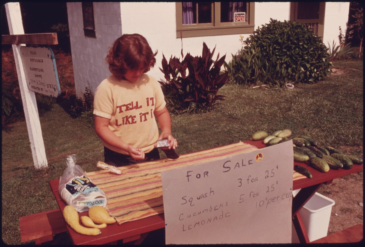 A child in a yellow T-shirt stands behind a small roadside table with a hand-lettered For Sale sign listing squash, cucumbers, and lemonade, with vegetables and a jug on the table and a house behind