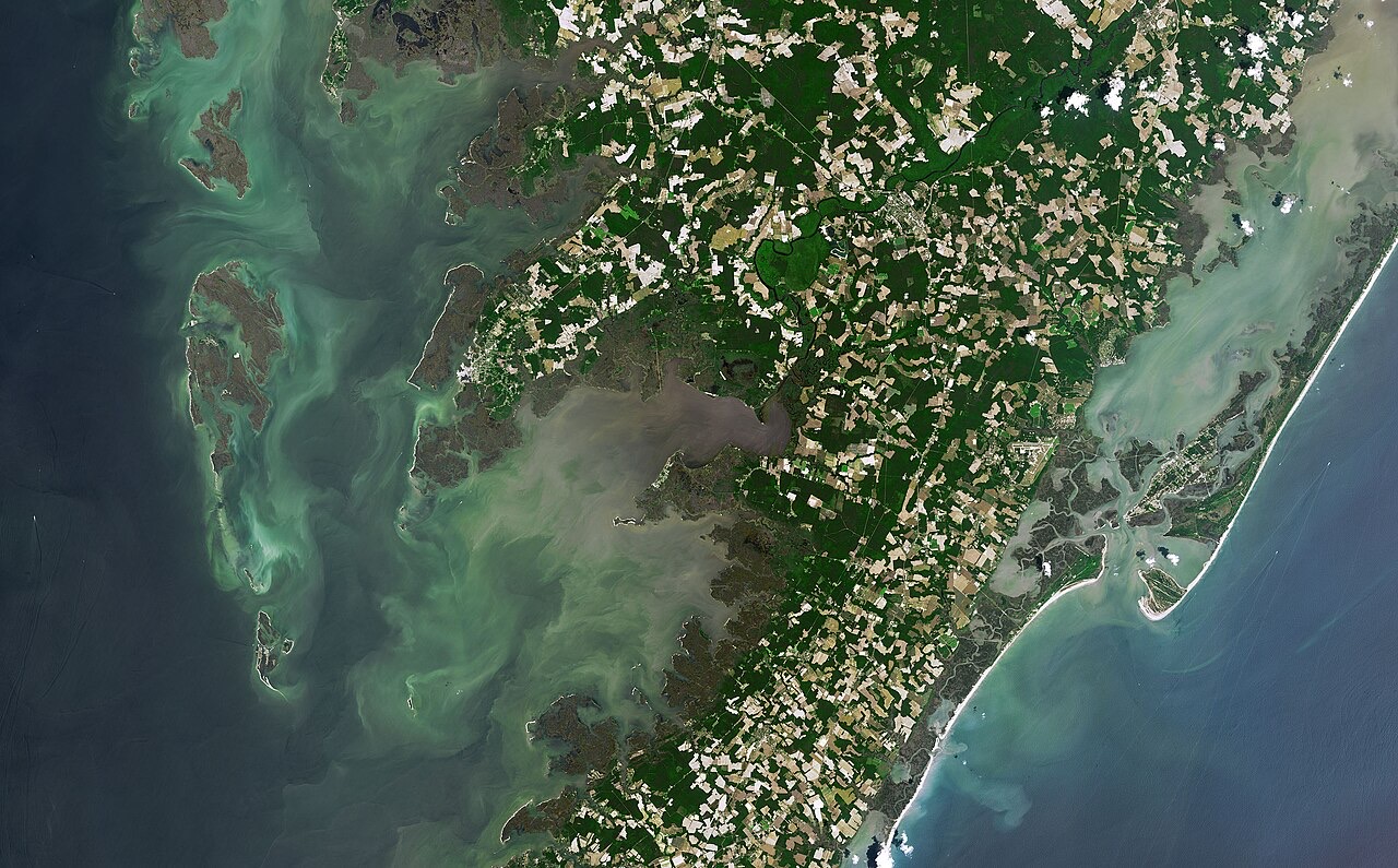 A satellite view of a coastal plain: dark green farmland and marsh islands in a lagoon, edged on the right by a thin bright ribbon of barrier-island sand with a curling hooked tip