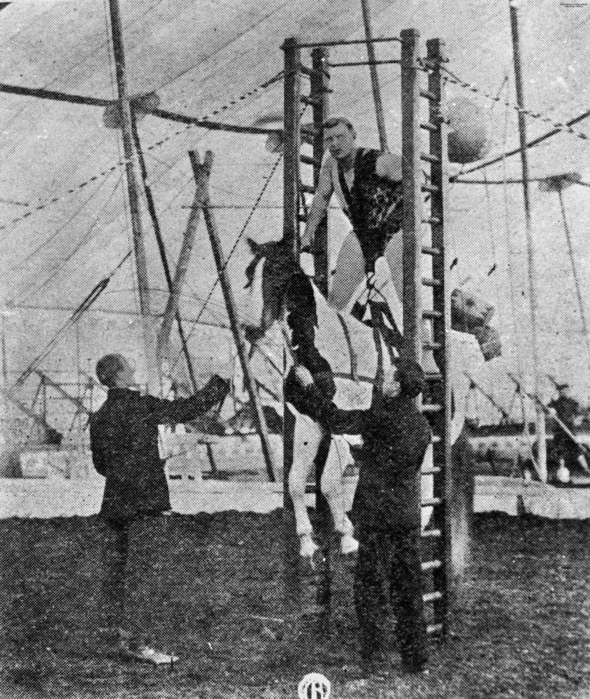 Grainy black-and-white 1903 photograph inside a circus tent: a strongman stands high on a tall ladder-like frame with a harness around his neck, and a horse hangs in a sling beneath him just above the ground while two men steady it