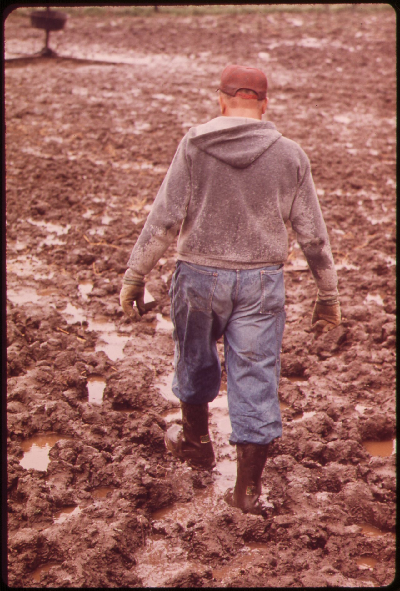 A man in a hooded jacket walks away from the camera across a field of deep churned mud, his boots sunk in and the ground rutted all around him