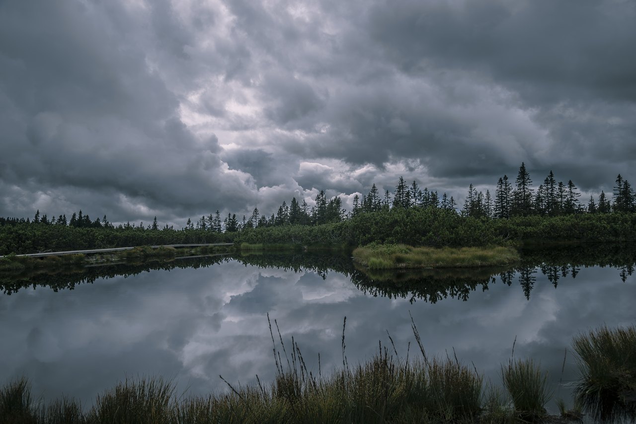Heavy gray storm clouds fill the sky above a still pond ringed with pine trees and reeds, the clouds mirrored in the dark water