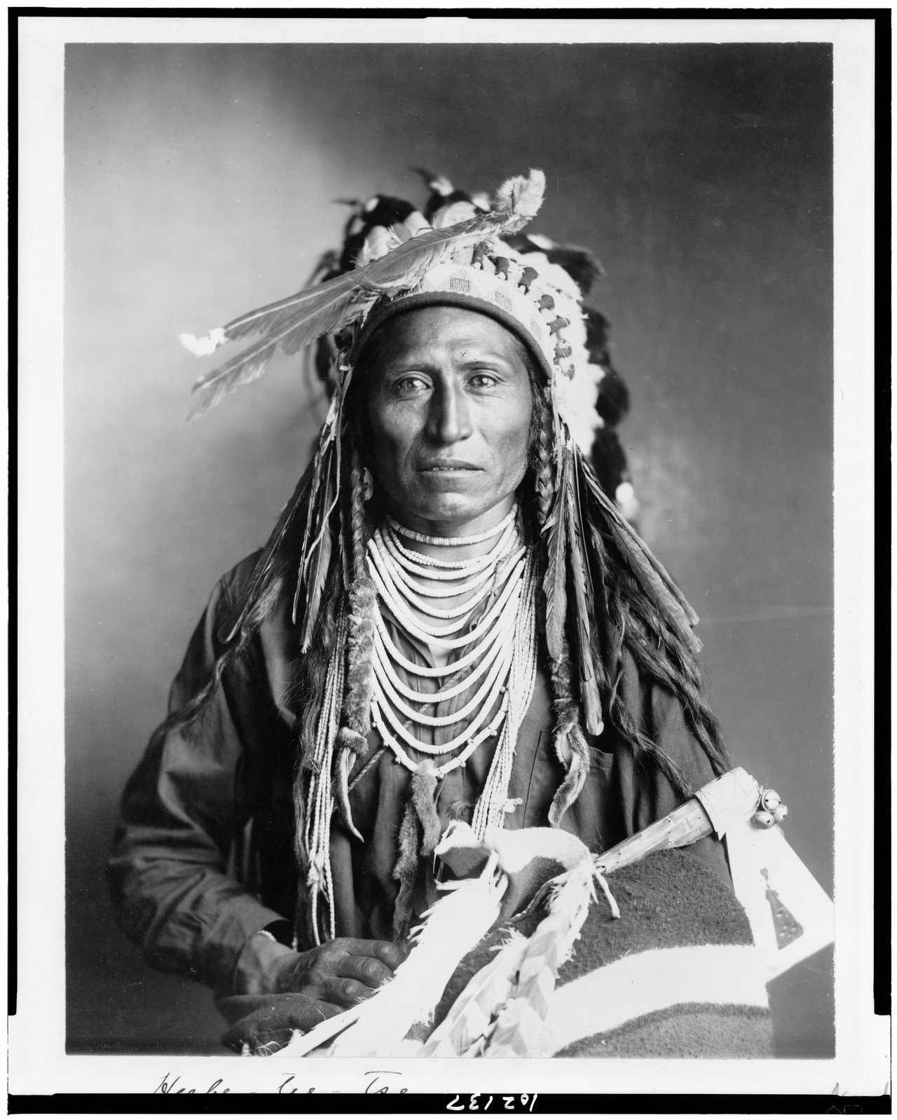 A studio portrait from 1899 of a Shoshone man facing the camera in a feathered headdress and beaded shirt, with long braided hair and shell necklaces