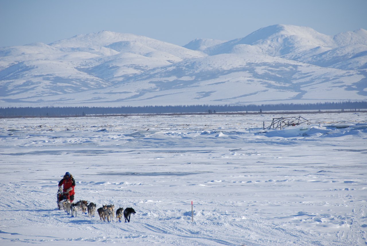 A dog team and sled crossing a wide flat plain of snow in a long line, with low snow-covered mountains along the horizon behind them