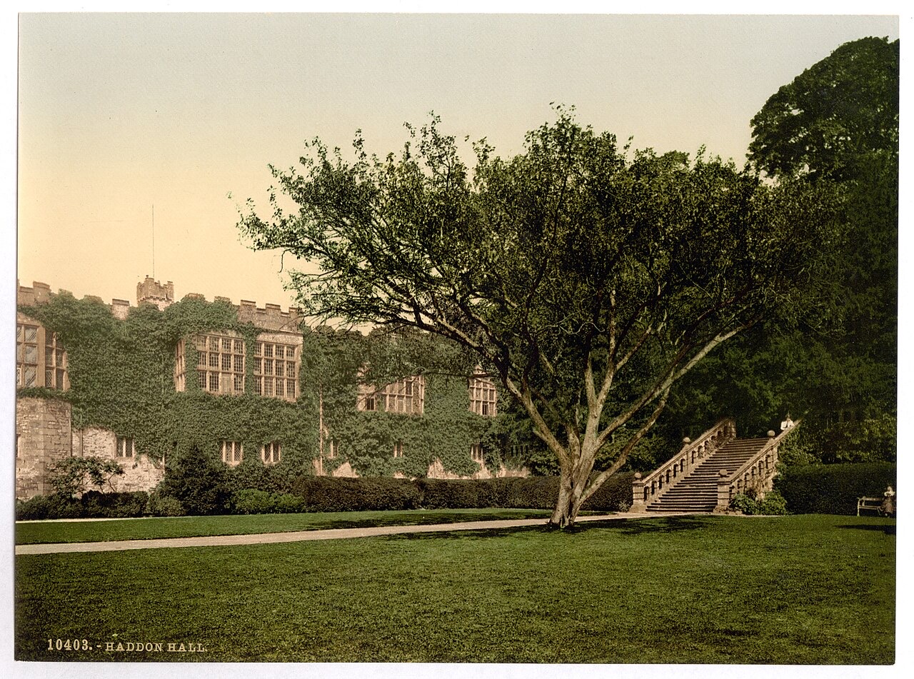 A color photochrom print of a long gray stone manor house half covered in ivy, with rows of mullioned windows, a battlemented tower, a stone staircase up to a terrace, a wide lawn and a large tree