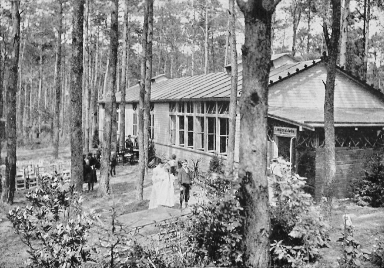 A 1904 magazine photograph of low wooden pavilions standing among tall pine trees, with long banks of windows, benches and desks in the open at the left, and adults and children on the sandy paths