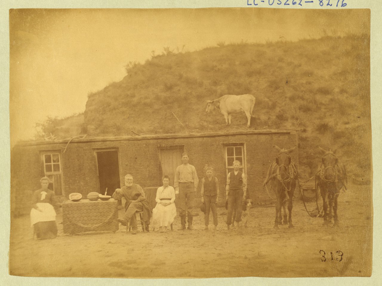 A sepia 1886 photograph of a family seated in front of a low house built of stacked sod blocks, with a cow standing on the grassy roof and horses at the right
