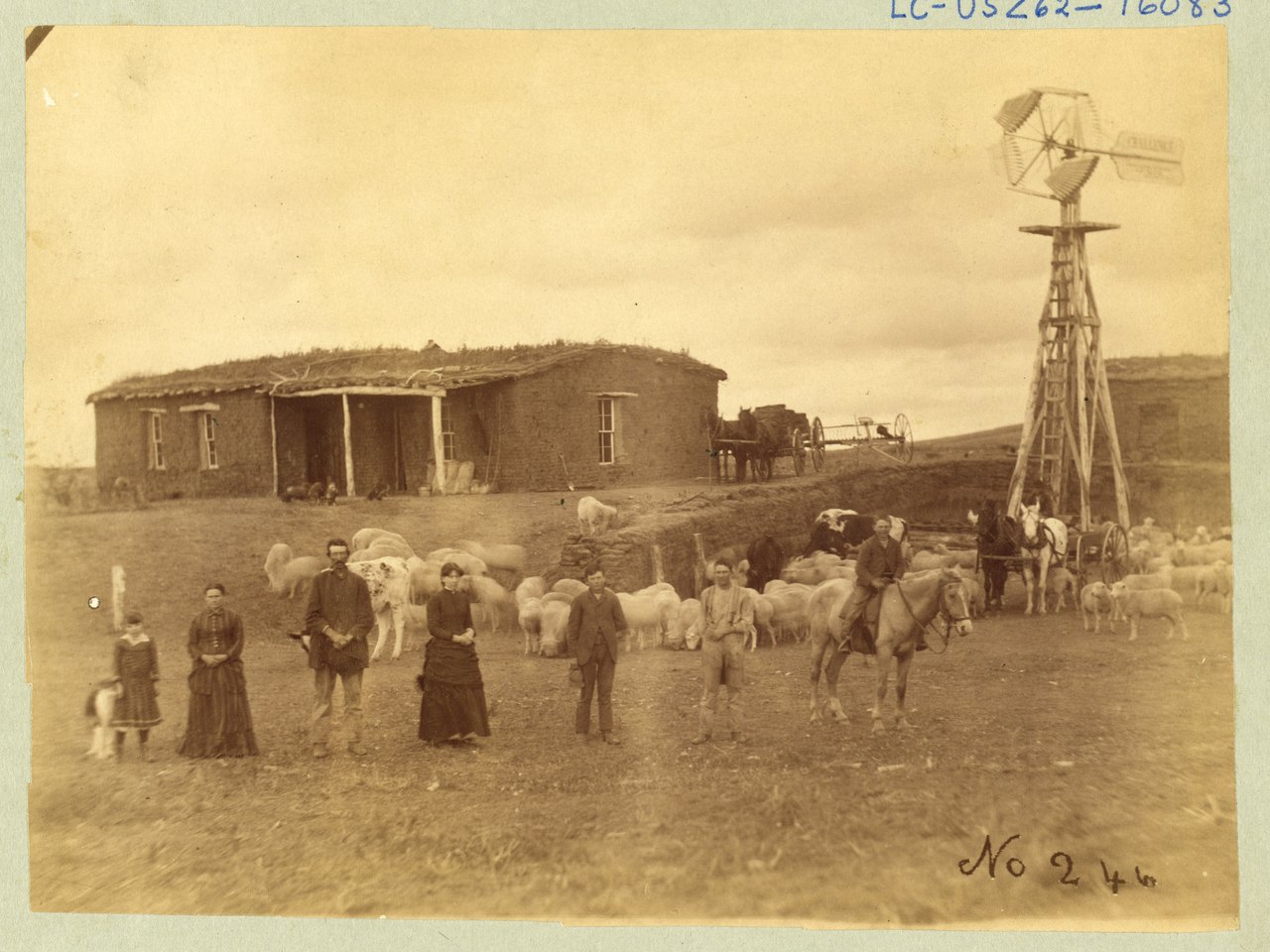 A sepia 1886 photograph of a family with a flock of sheep and several horses in front of a low sod house, with a tall wooden windmill standing beside it on the open prairie