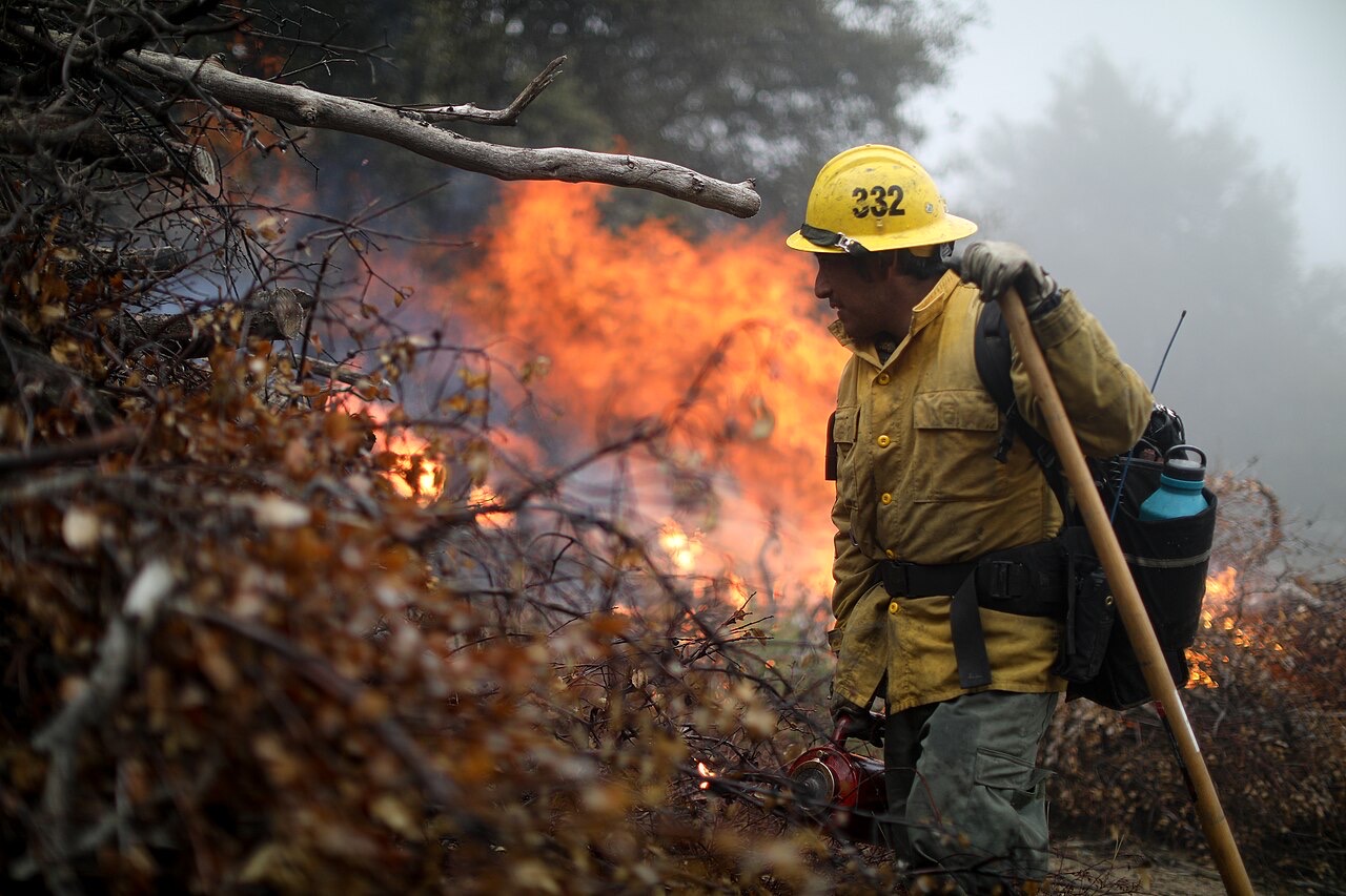 A firefighter in a yellow shirt and hard hat stands beside piled branches as orange flames and smoke rise from a prescribed burn in misty woods