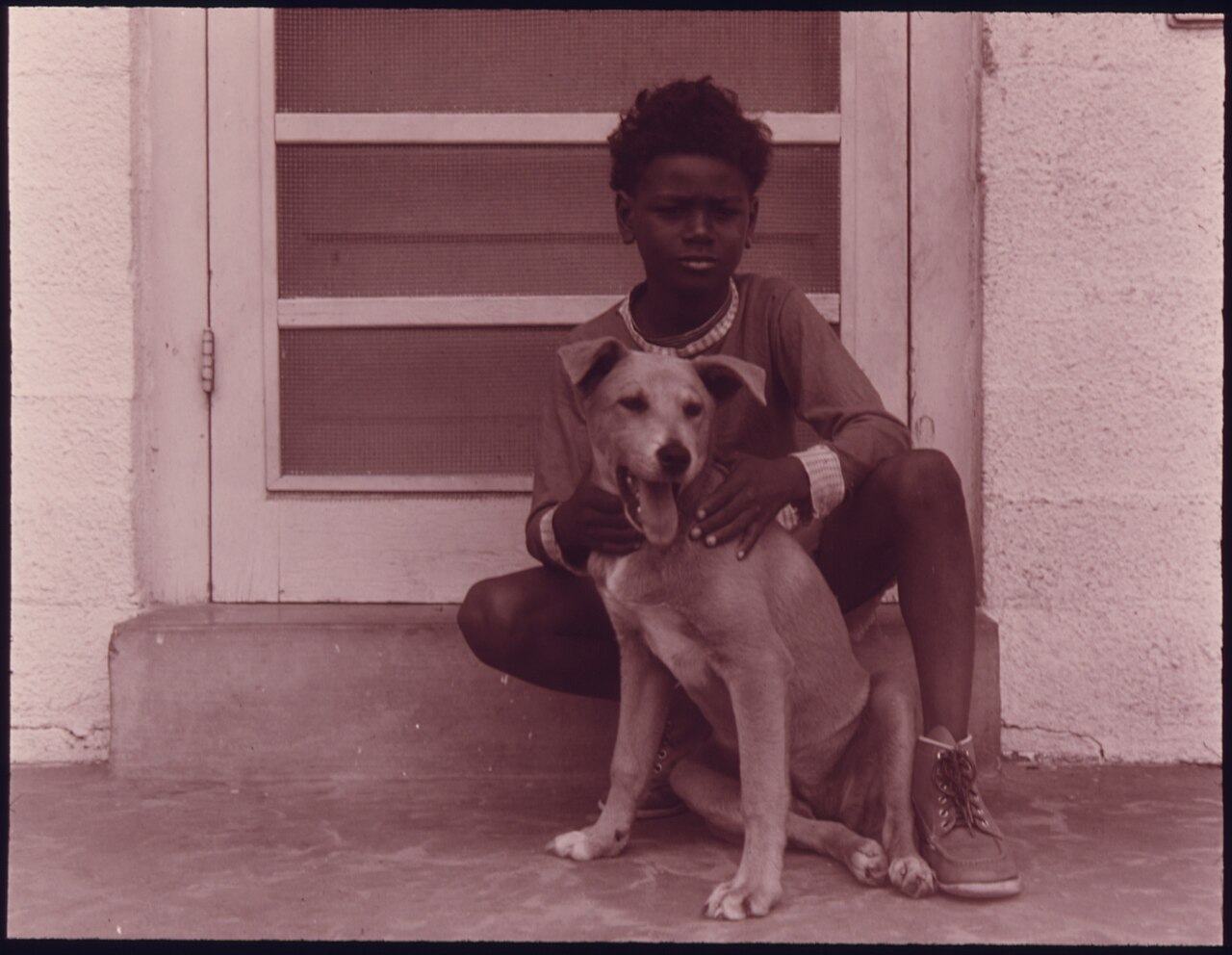 A boy sitting on a doorstep with both arms around a pale short-haired dog that sits leaning against him, looking at the camera
