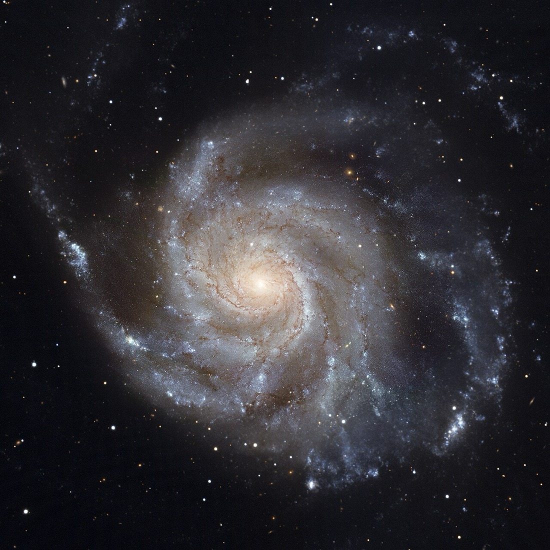 A spiral galaxy seen face-on against black space: a pale yellow core with blue-white arms winding outward